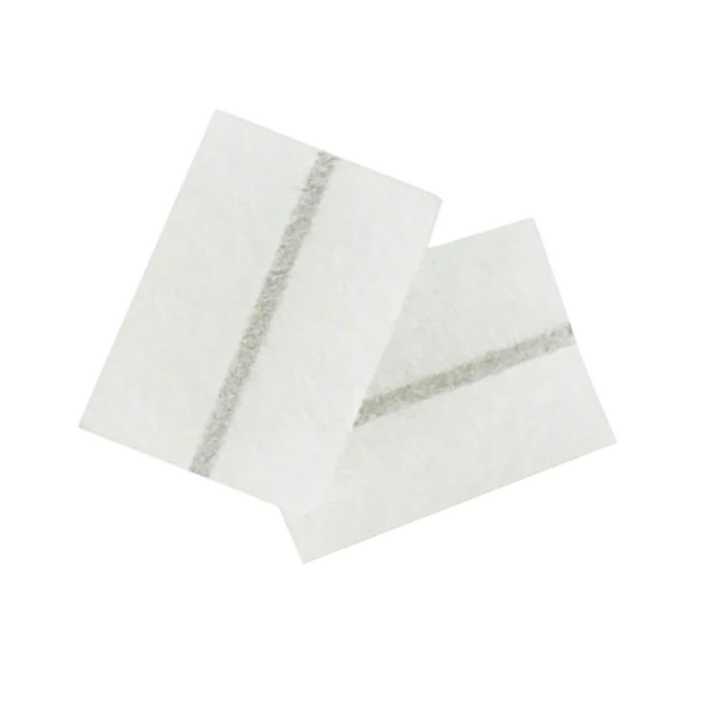 Fisher & Paykel SleepStyle Filter