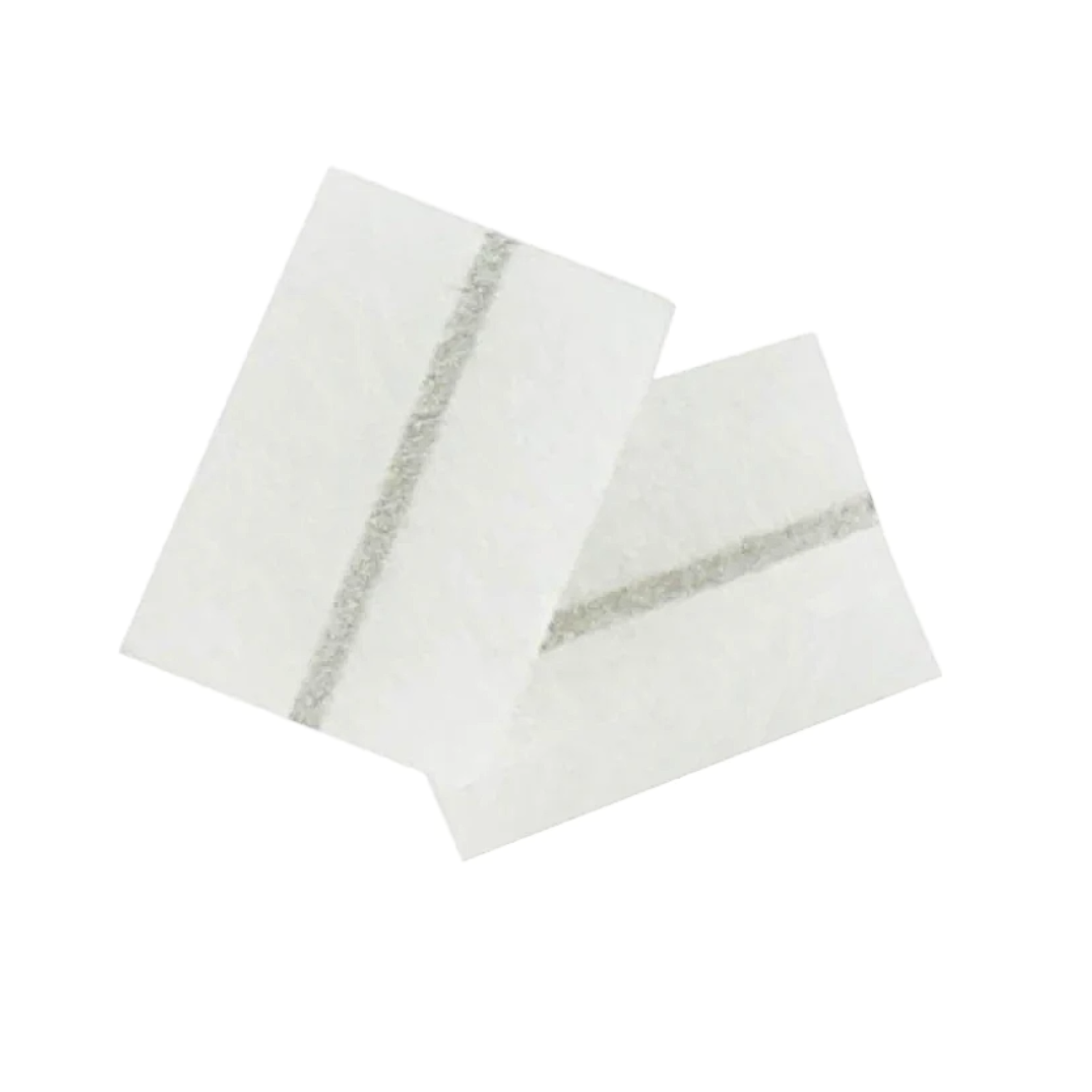 Fisher & Paykel SleepStyle Filter